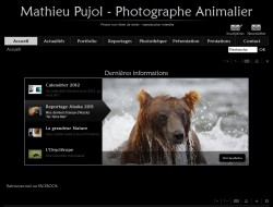 Mathieu PUJOL - Photographe animalier - 31550 CINTEGABELLE - www.mathieupujol.com