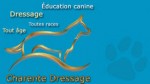 Site responsive, galerie photo et audio - CHARENTE DRESSAGE   Education canine, dressage toutes races, tout age. 17 Arvert 